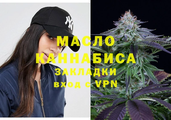 шишки Медногорск