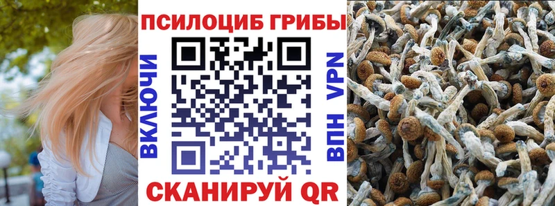 цена Сасово Галлюциногенные грибы ЛСД